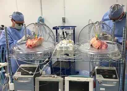 Sirftzubn3xm3dflsk8t