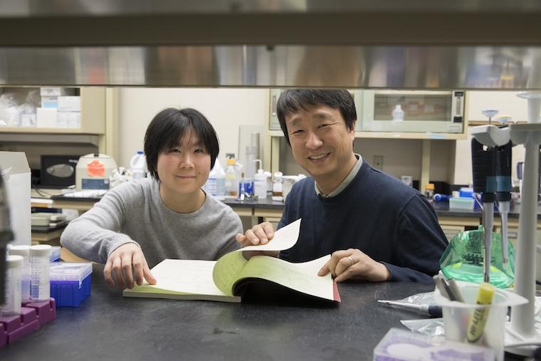 Researchers Ting-Ting Du, PhD, (left) and Jung-Bum Shin, PhD, have identified a potential contributor to age-related hearing loss.