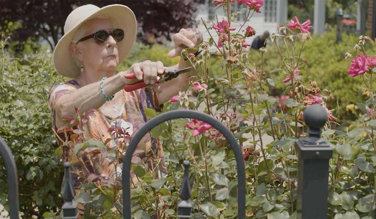Bobby Cohen gardening after surviving a brain aneurysm rupture
