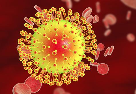 Illustration of the Zika virus