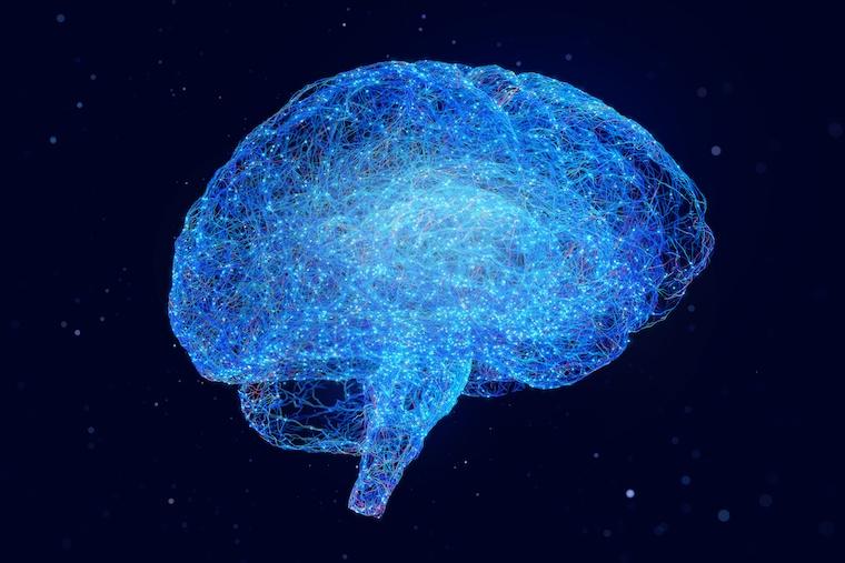 Artistic depiction of neural networks in the brain