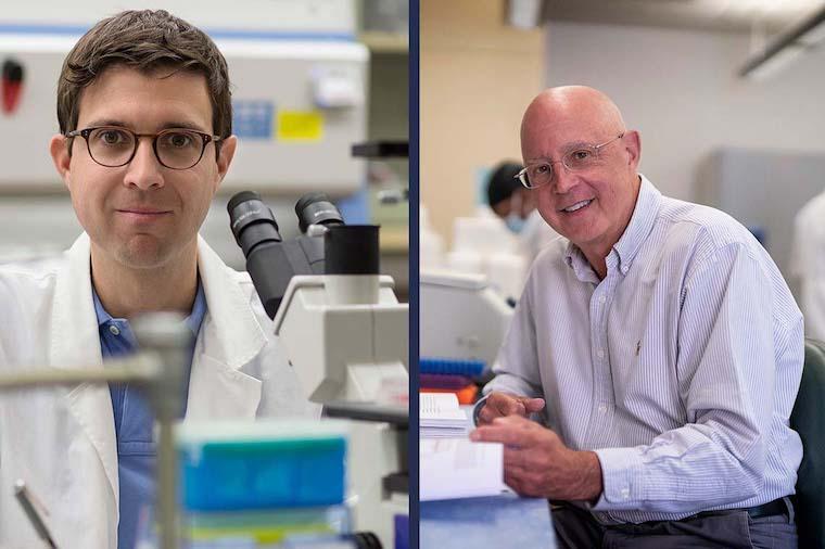 Discoveries from the School of Medicine's John Lukens, PhD, (left) and Kenneth Walsh, PhD, are duking it out in the Sweet 16 of STAT Madness, an online tournament to determine 2022's biggest biomedical advance.