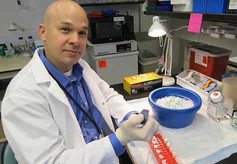 brain research and osteoporosis research