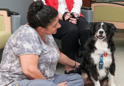 Ollie comforting a patient while visiting the hospital