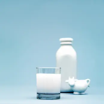 milk