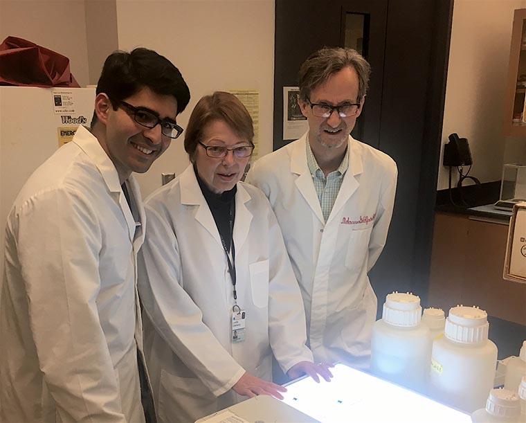 Researchers Shadi Khalil (from left), Lorrie Delehanty and Adam Goldfarb have discovered an unknown biological process that controls the body's production of oxygen-carrying red blood cells.