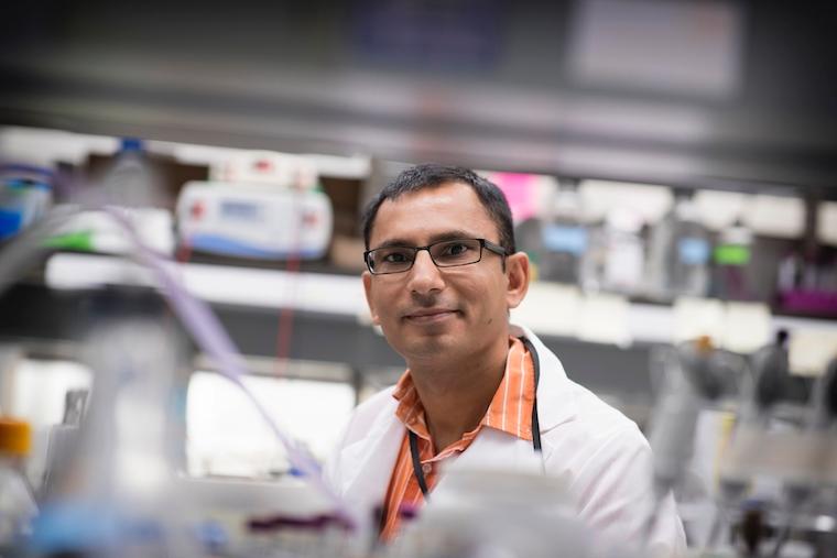Jogender Tushir-Singh, PhD, is part of UVA Cancer Center and the School of Medicine's Department of Department of Biochemistry and Molecular Genetics.