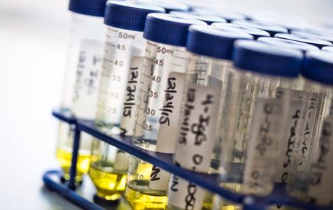 LGL Leukemia Registry