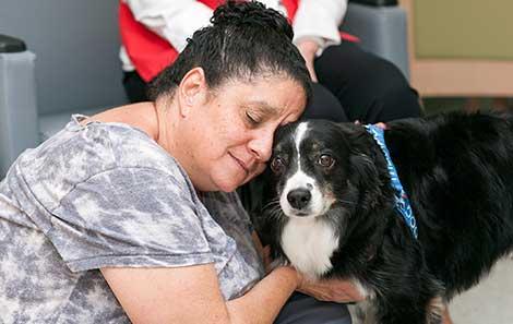 What Do Therapy Dogs Do?