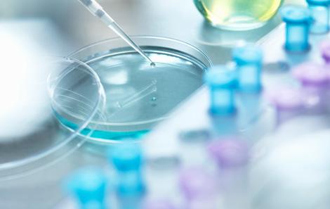 Visit the Stem Cell Transplant Clinic