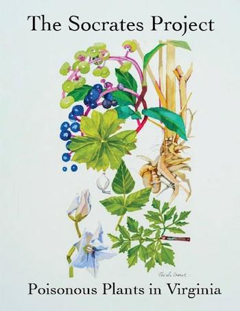 The book's cover image is a watercolor created by artist Trish Crowe.