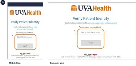 Step 1b of connecting to your virtual visit