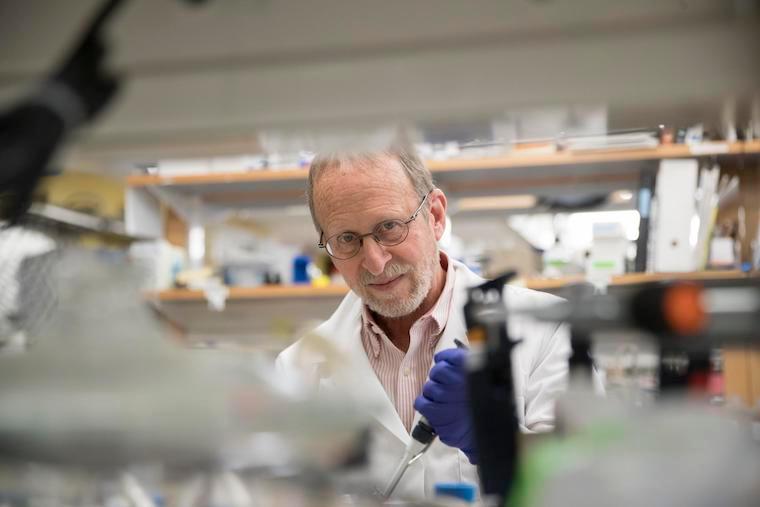 Alzheimer's researcher George Bloom, PhD. 