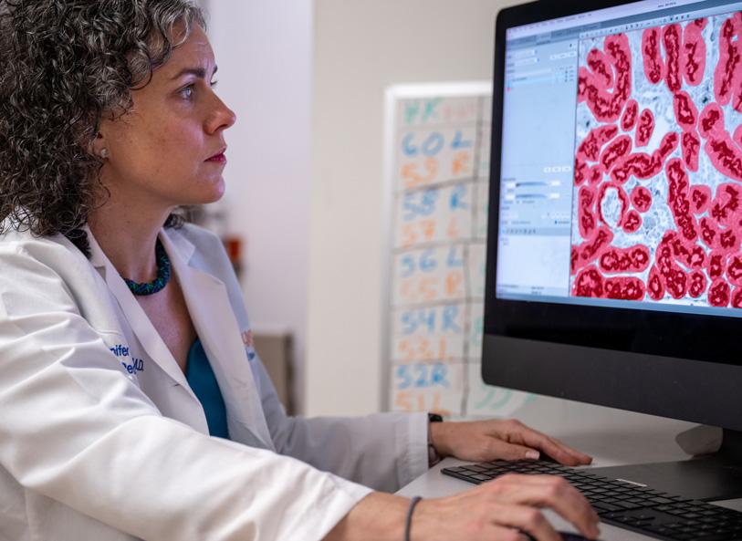 Doctor Jennifer Charlton looks at computer while doing kidney research