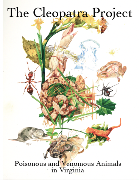 The cover image for The Cleopatra Project watercolor created by Trish Crowe specially for this publication.