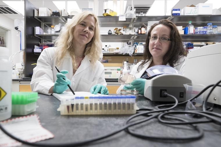 UVA's Melissa Kendall (left) and Elizabeth M. Melson have revealed how E. coli knows how to cause the worst infections possible.