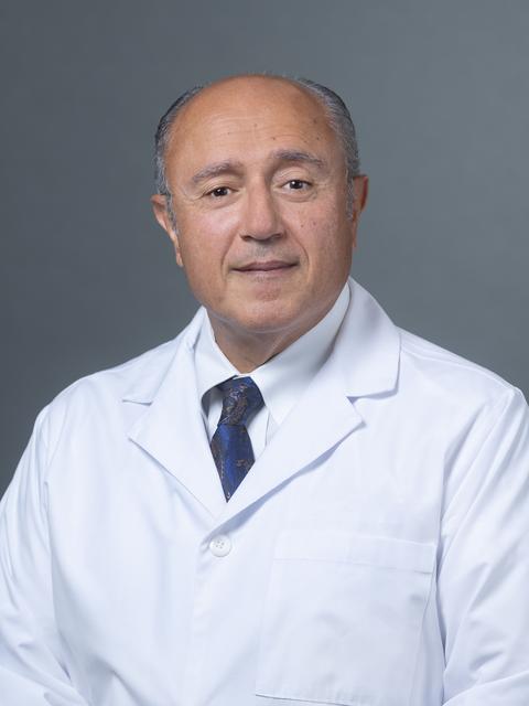 Sam E Mansour, MD