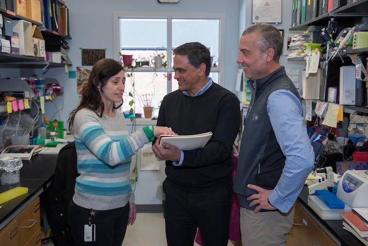 Claudia Rival, PhD, shares notes with Kodi Ravichandran, PhD, and Jeffrey J. Lysiak, PhD. The researchers have made a surprising discovery about fertilization and the egg's role in it, potentially paving the way for a new contraceptive.