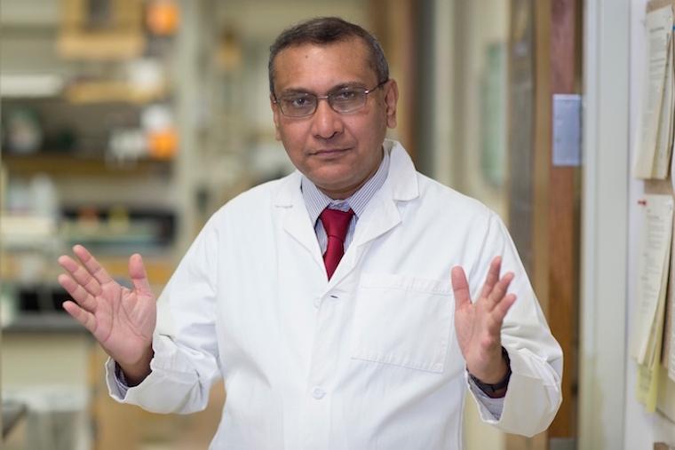 Anindya Duttta, PhD, is chairman of the Department of Biochemistry and Molecular Genetics.