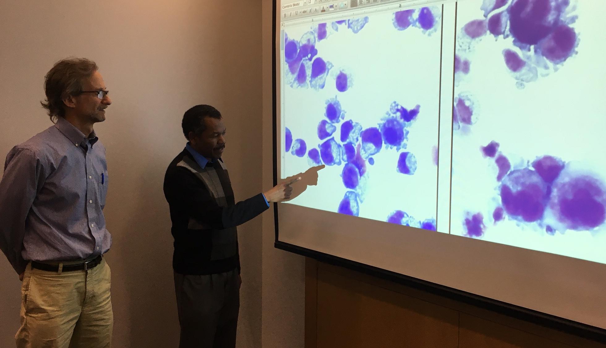 Adam Goldfarb and Kamal Elagib talk platelet making
