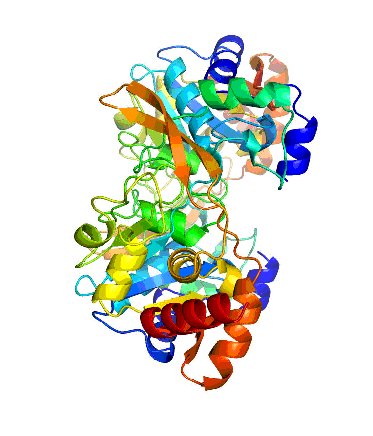 The 100th protein structure is a BA2930 protein thought to be a major part of anthrax's resistance mechanism to the aminoglycoside family of antibiotics, including streptomycin, gentamycin and kanamycin.