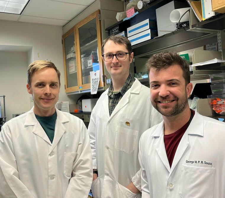 Department of Pharmacology researchers Stephen Abbott (from left), Daniel Stornetta and George Souza have identified the body's natural alarm for blood loss.