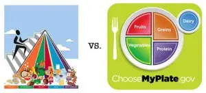 Food Plate or Pyramid?